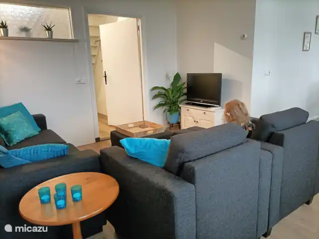 De gezellige woonkamer